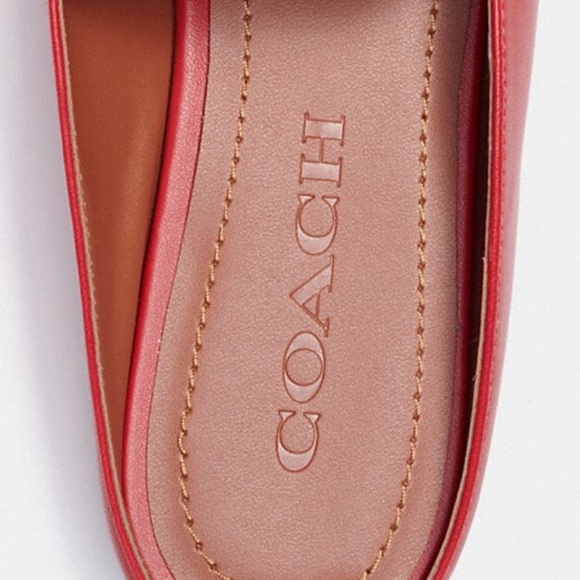 Coach mules - Picture 6 of 10